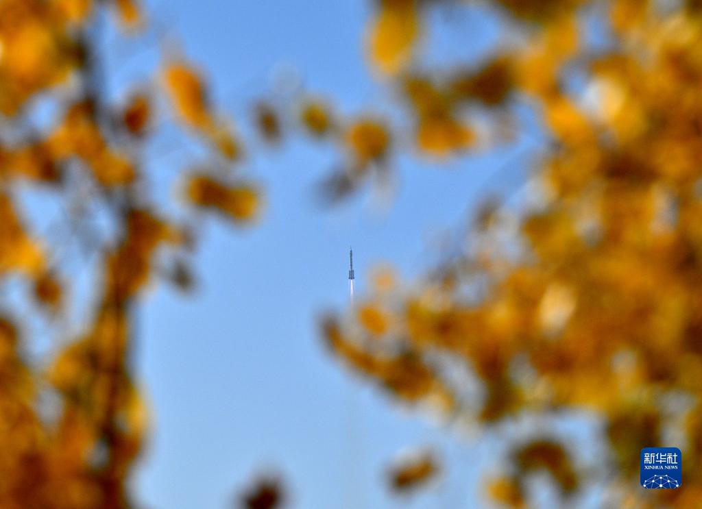 1129939415_16982932191601n.jpg